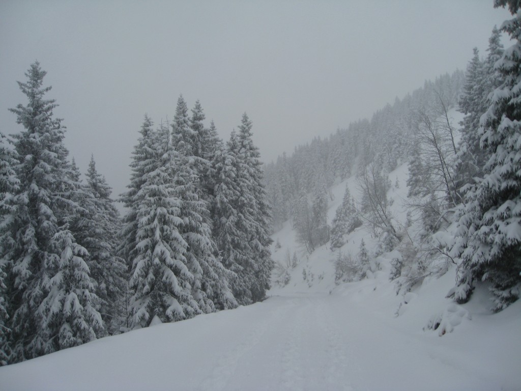 The stunning Austrian Alps