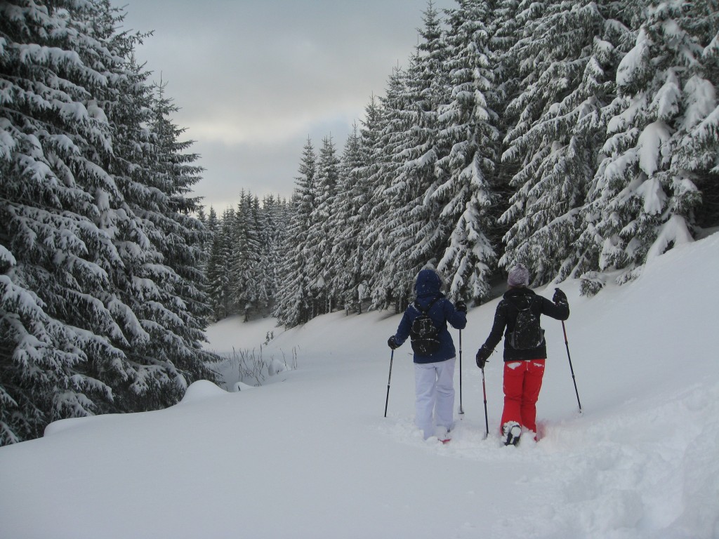 Snowshoeing on the forest road