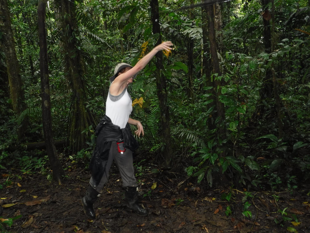 My attempt to throw a Huaorani spear