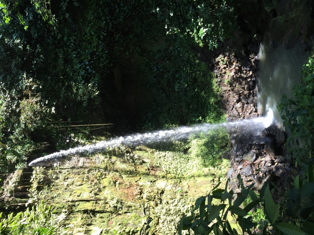 A stunning waterfall in the middle of a jungle