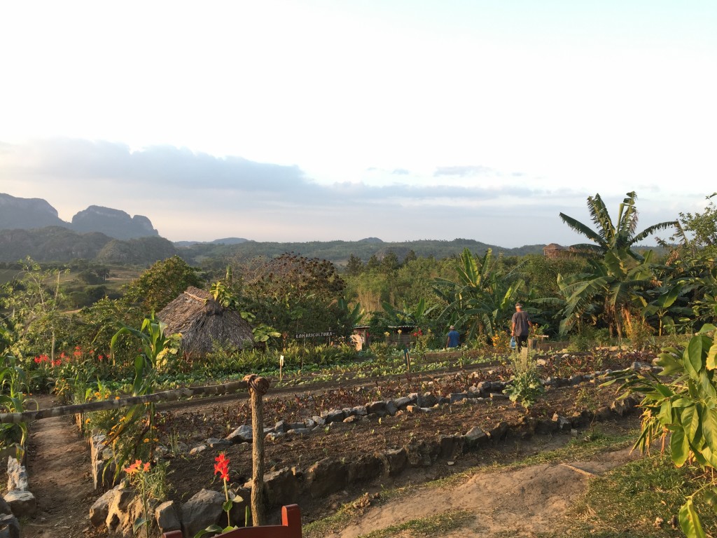 Finca Agroecologica - see the little lookout hut in the top left of the photo?