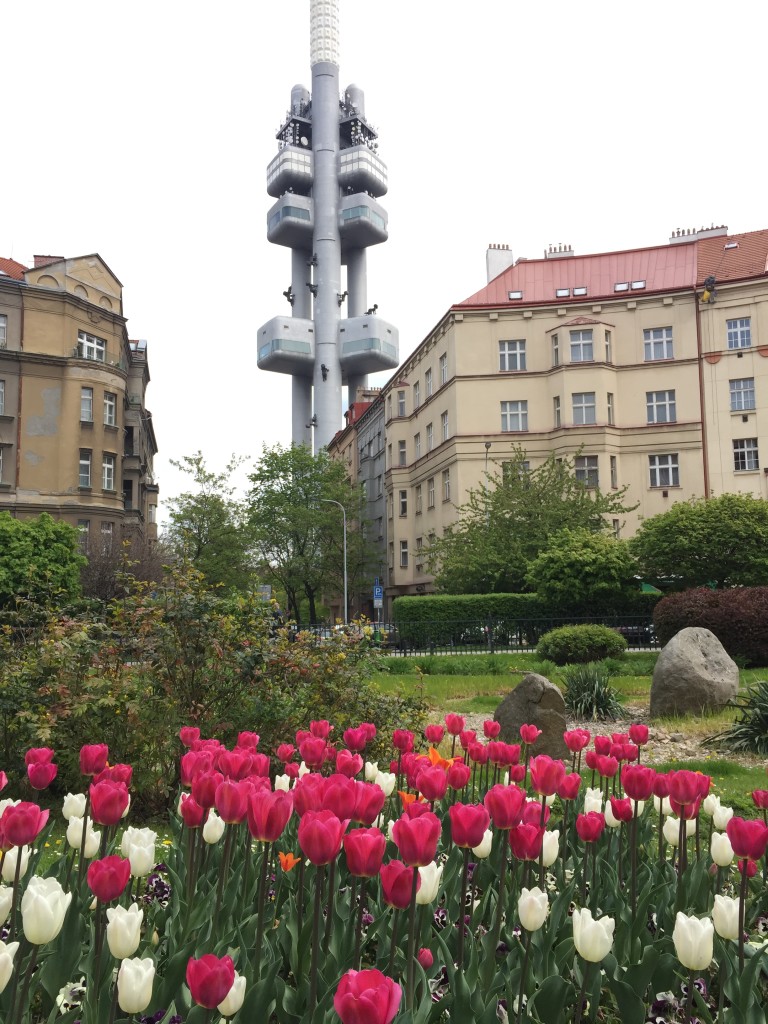 Zizkov Tower